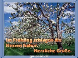 grusskarte-zeiten-fruehling-k_004