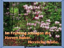grusskarte-zeiten-fruehling-k_006