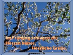 grusskarte-zeiten-fruehling-k_007