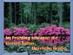 grusskarte-zeiten-fruehling-k_010