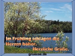 grusskarte-zeiten-fruehling-k_011