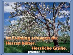 grusskarte-zeiten-fruehling_004