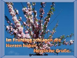 grusskarte-zeiten-fruehling_005