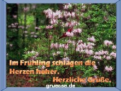 grusskarte-zeiten-fruehling_006