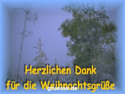 grusskarte-weihnachten-danke_005