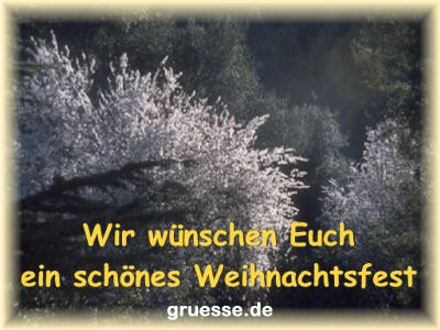 grusskarte-weihnachten-fotos_009