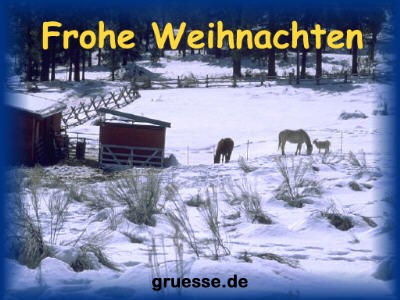 grusskarte-weihnachten-fotos_010