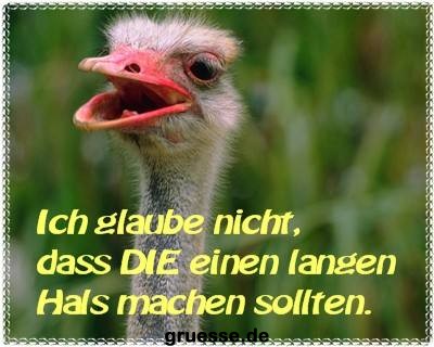 grusskarte-witz-witz3-k_012