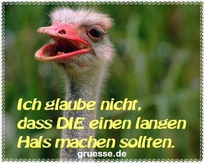 grusskarte-witz-witz3_012