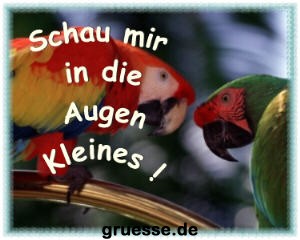 grusskarte-witz-witz4-k_012