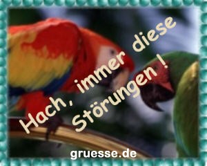 grusskarte-witz-witz4_010