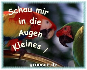 grusskarte-witz-witz4_012