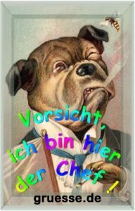 grusskarte-witz-witz4_016