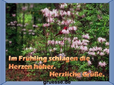 grusskarte-zeiten-fruehling-k_006