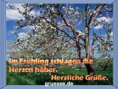 grusskarte-zeiten-fruehling_004