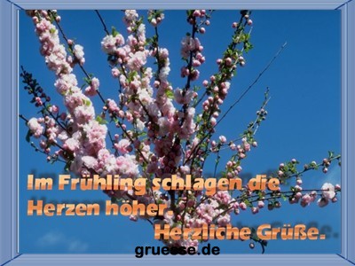 grusskarte-zeiten-fruehling_005