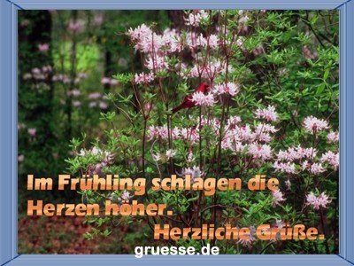 grusskarte-zeiten-fruehling_006