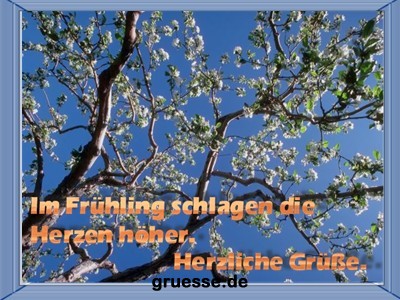 grusskarte-zeiten-fruehling_007