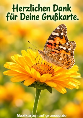 grusskarte-maxi-diverses-danke_007