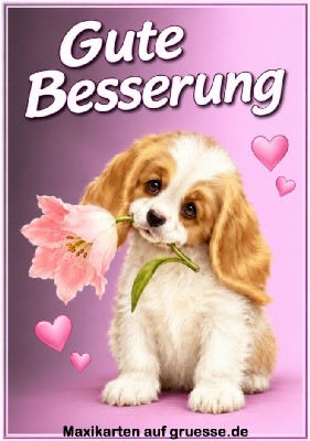 grusskarte-maxi-glueckwuensche-gute-besserung_011