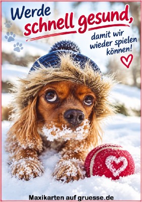 grusskarte-maxi-glueckwuensche-gute-besserung_016