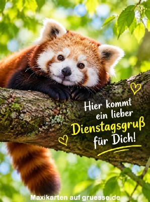 grusskarte-maxi-zeiten-wochentage_002