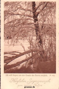 neujahr_010