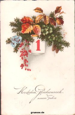 neujahr_015