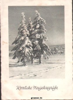 neujahr_021