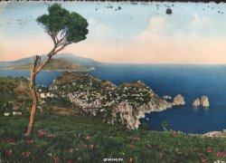 capri_von_berg_solaro_1953