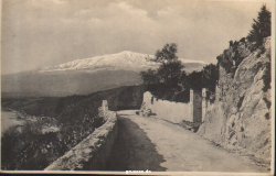 califi_crupi_1935