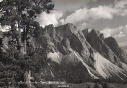 monte_stevia_1964