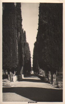 tivoli_1937