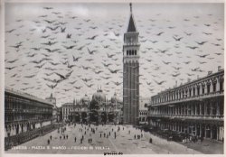 venedig_marcusplatz_1952
