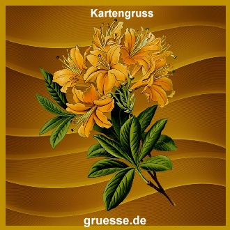 grusskarte-ohne-text-blumen_009