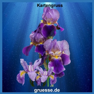 grusskarte-ohne-text-blumen_025