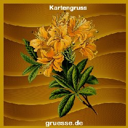grusskarte-ohne-text-blumen_009