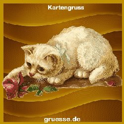 grusskarte-ohne-text-blumen_011