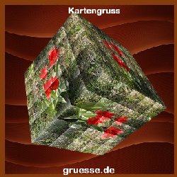 grusskarte-ohne-text-blumen_014