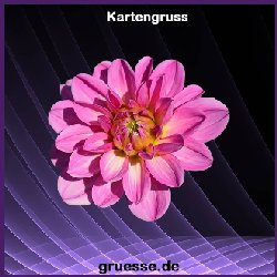 grusskarte-ohne-text-blumen_016