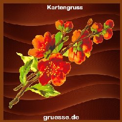 grusskarte-ohne-text-blumen_021