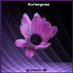 grusskarte-ohne-text-blumen_022