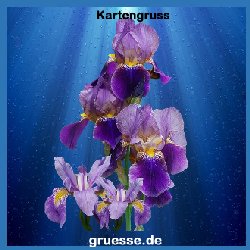 grusskarte-ohne-text-blumen_025