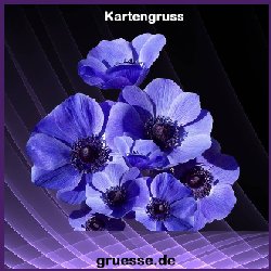 grusskarte-ohne-text-blumen_028