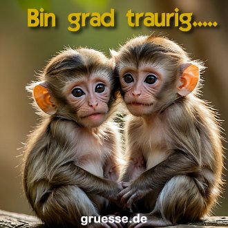 grusskarte-quadratisch-diverses_001