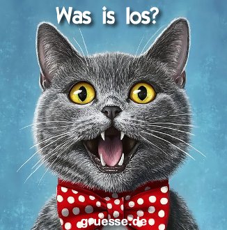 grusskarte-quadratisch-diverses_007