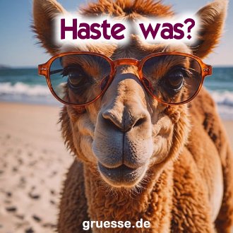 grusskarte-quadratisch-diverses_029