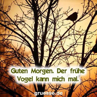 grusskarte-quadratisch-guten-morgen_003