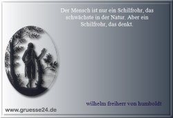 mensch-002