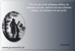 scham-010